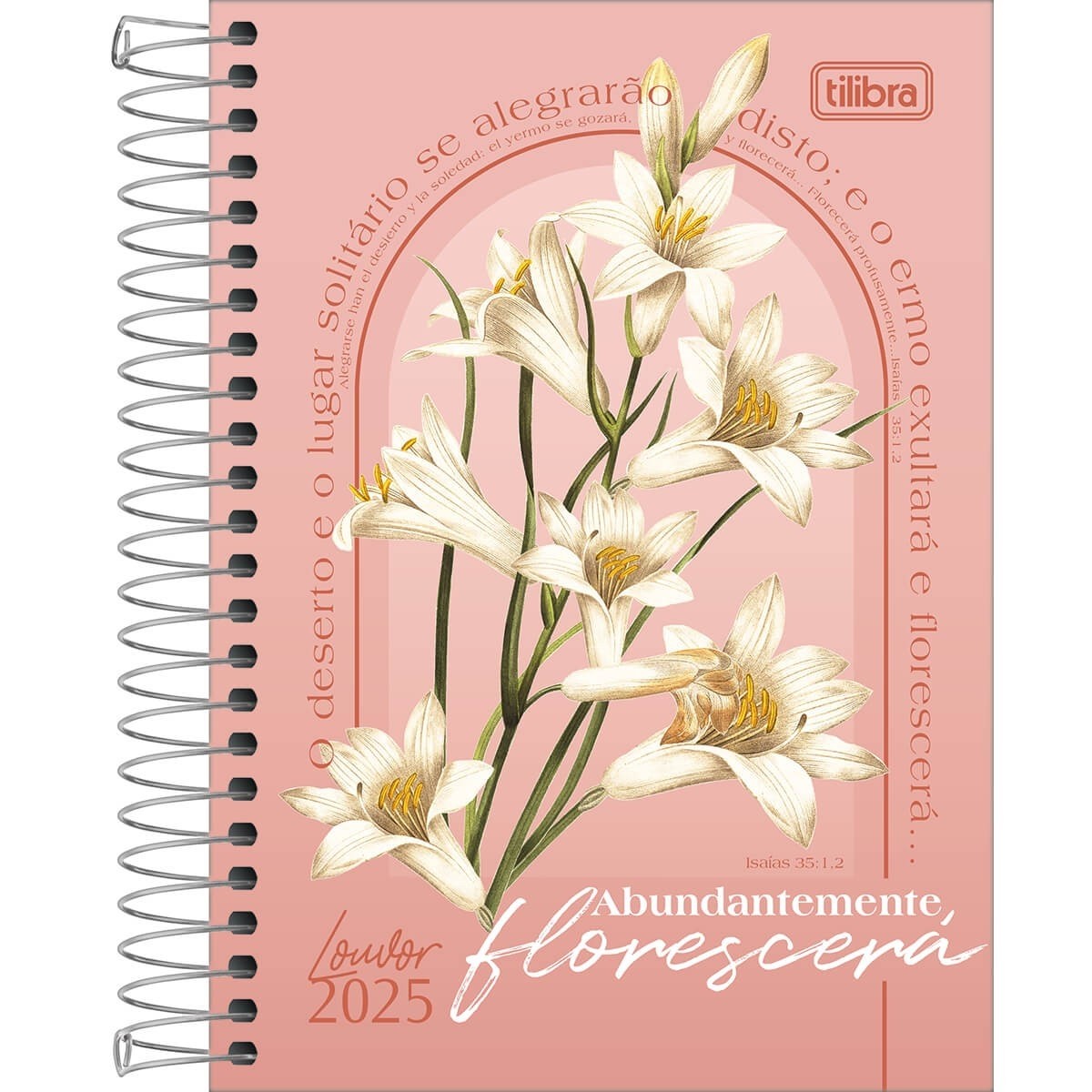 AGENDA 2025 ESP LOUVOR M5 208FLS TILIBRA 129x187mm