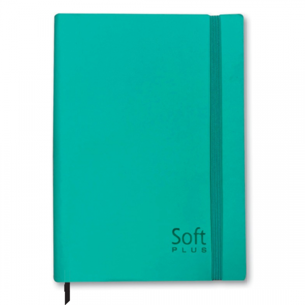 AGENDA 2025 COST ANUAL SOFT COLORS PLUS 168F SD