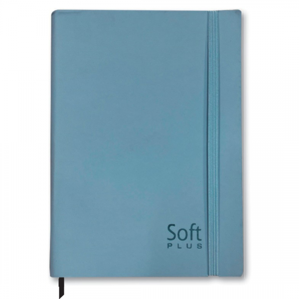 AGENDA 2025 COST ANUAL SOFT COLORS PLUS 168F SD