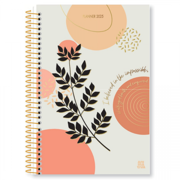 AGENDA ESPIRAL PLANNER 2025 ANUAL MULHER 88FLS SD 138X206mm