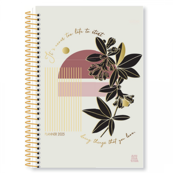 AGENDA ESPIRAL PLANNER 2025 ANUAL MULHER 88FLS SD 138X206mm