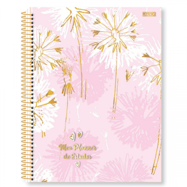 AGENDA ESP PERM MEUS PLANNERS DE ESTUDO 84FLS SD 179X241mm