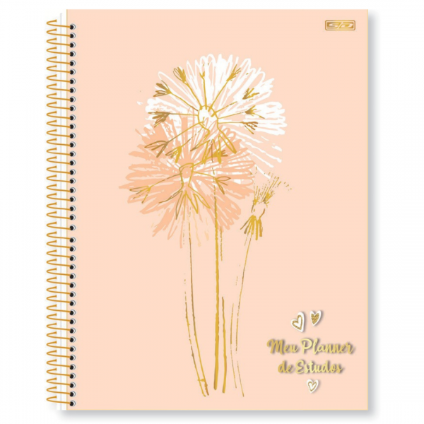 AGENDA ESP PERM MEUS PLANNERS DE ESTUDO 84FLS SD 179X241mm