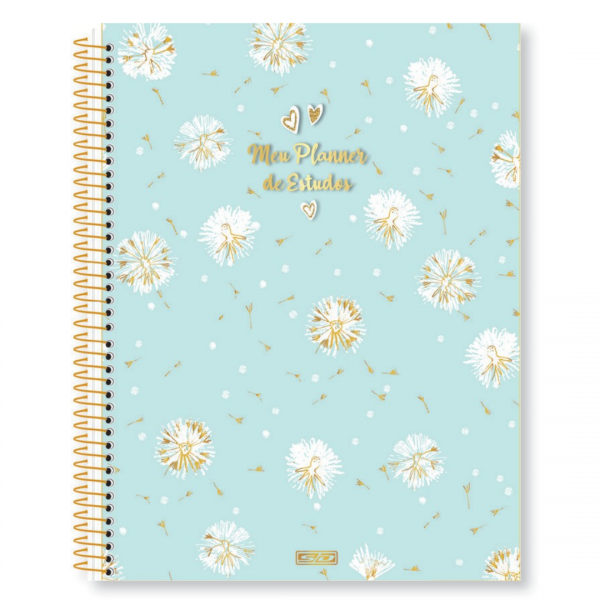 AGENDA ESP PERM MEUS PLANNERS DE ESTUDO 84FLS SD 179X241mm