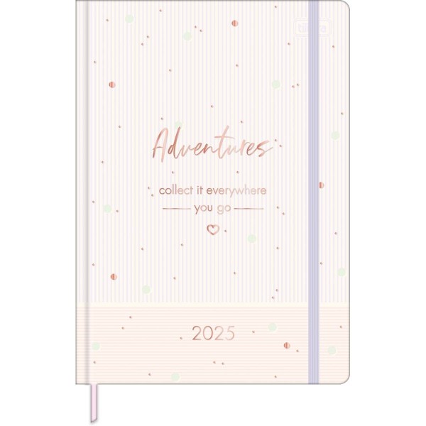 AGENDA 2025 COST PLANNER SOHO M6 80FLS TILIBRAS 145x205mm